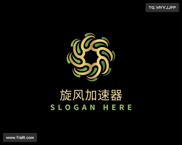 关于旋风加速器